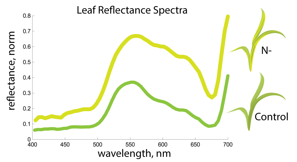 Description of image